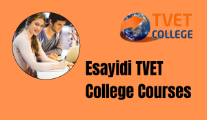 Esayidi TVET College Courses