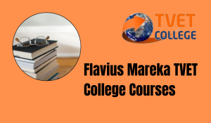 Flavius Mareka TVET College Courses