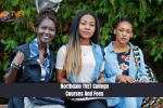 Northdale TVET College Courses And Fees