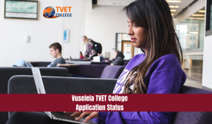 Vuselela TVET College Application Status