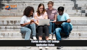 Flavius Mareka TVET College Application Status